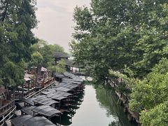 -乌镇景区