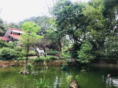 -九龙公园