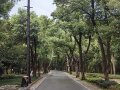 -东湖落雁景区