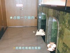 -水悦汇