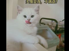 -邢大夫动物医院