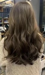 点击看大图 -藤野造型