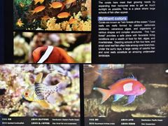 -上海海洋水族馆