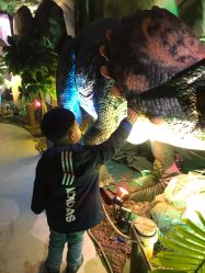 点击看大图 -恐龙探索乐园(磁器口店)