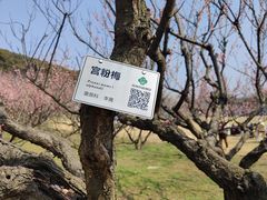 -苏州上方山国家森林公园