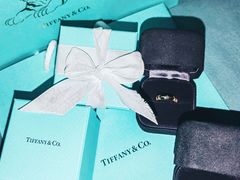 -Tiffany & Co.蒂芙尼
(天津万象城店)