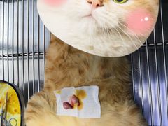 -荔康动物医院(康王北路店)