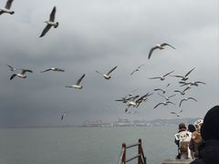 -悦海公园