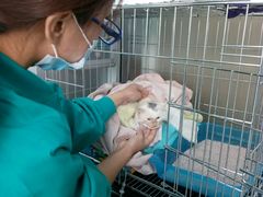 -康乐宝动物医院