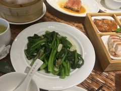 -老广酒楼(樱花店)