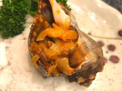 酱汁海螺-菊上料理(蜀山银泰百货店)