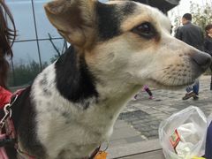 -白鹭湾湿地公园