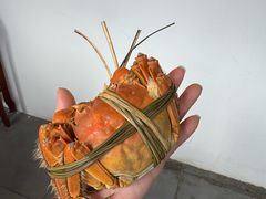 -蟹村草堂·苏式园林人文农家·大闸蟹