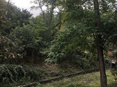 -北京鹫峰国家森林公园