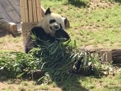 -秦皇岛野生动物园
