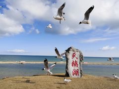 -青海湖国家重点风景名胜区