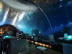 -海棠湾洲际-涛·海底餐厅·美人鱼·自助餐·海底隧道