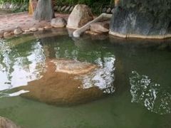 -大理地热国