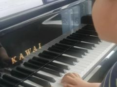 -柏斯音乐艺术中心·钢琴·吉他(世纪金源店)