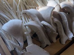-崔英子朝韩民俗风味烤肉烤串城(大东店)
