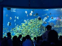 -海合安武汉极地海洋公园