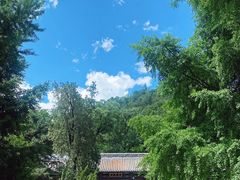 -潭柘寺景区
