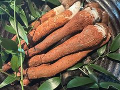 -京兆尹(雍和宫店)