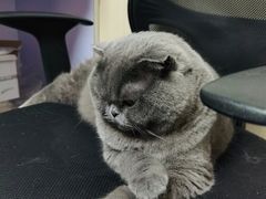 -宠颐生宠物医院外科·内科·皮肤科·影像科(石龙店)