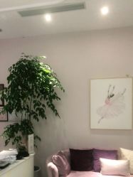 -孔雀手美甲美睫护理