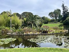 -墨尔本皇家植物园