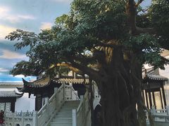 -馋遇江南·精致湖景雅宴(东方之门店)