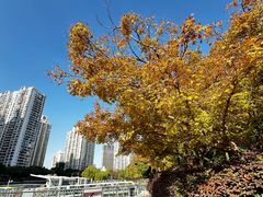 -苏州河梦清园环保主题公园