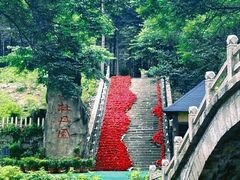 -洛阳白云山景区