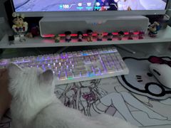 -瑞派申生动物医院·24H夜诊·国际动物医疗中心·骨外科(吴中路店)