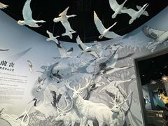 -中国湿地博物馆