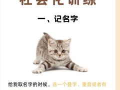 -宠福鑫动物医院(立水桥分院)