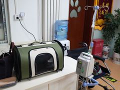 -宠颐生中康贝怡动物医院