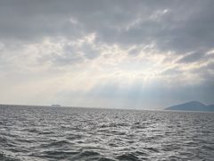 -招商蛇口邮轮母港(观光客运)