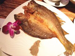 香煎盐浸黄鱼-蝴蝶汇音乐酒馆(罗湖店)