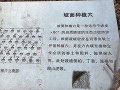 -北京鹫峰国家森林公园