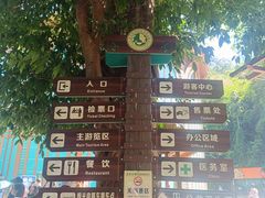 -西双版纳原始森林公园