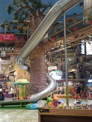 -卡通尼·Safari非洲探索乐园·生日会(金桥国际商业广场店)