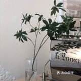 很香奶气的咖啡小馆