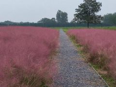 -汉长安城未央宫国家考古遗址公园