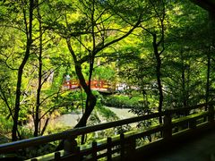 -鹤冈八幡宫