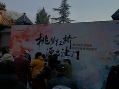 -桃花堤公园