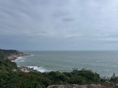 -广东惠东海龟国家级自然保护区