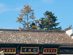 -九华山风景区
