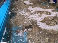 -济南海鲜大市场