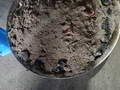 -老鲍农家乐
